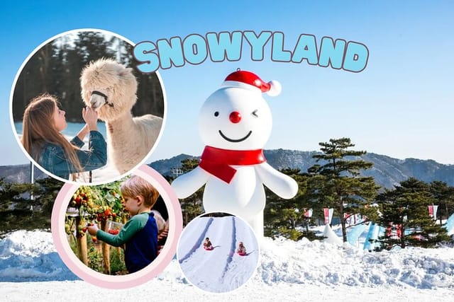 snowyland-strawberry-picking-alpaca-world_1